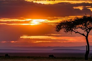 Air Freight Eastern Africa