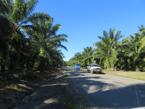Air Freight Solomon Islands