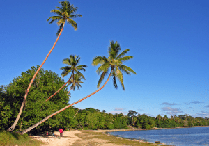 Air Freight Vanuatu