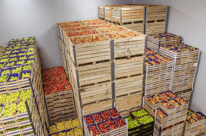 Refrigerated Air Cargo